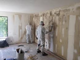 Professional Mold Prevention & Removal  in Poquott, NY